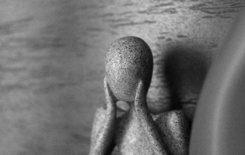 The Psychology of the Human Chameleon